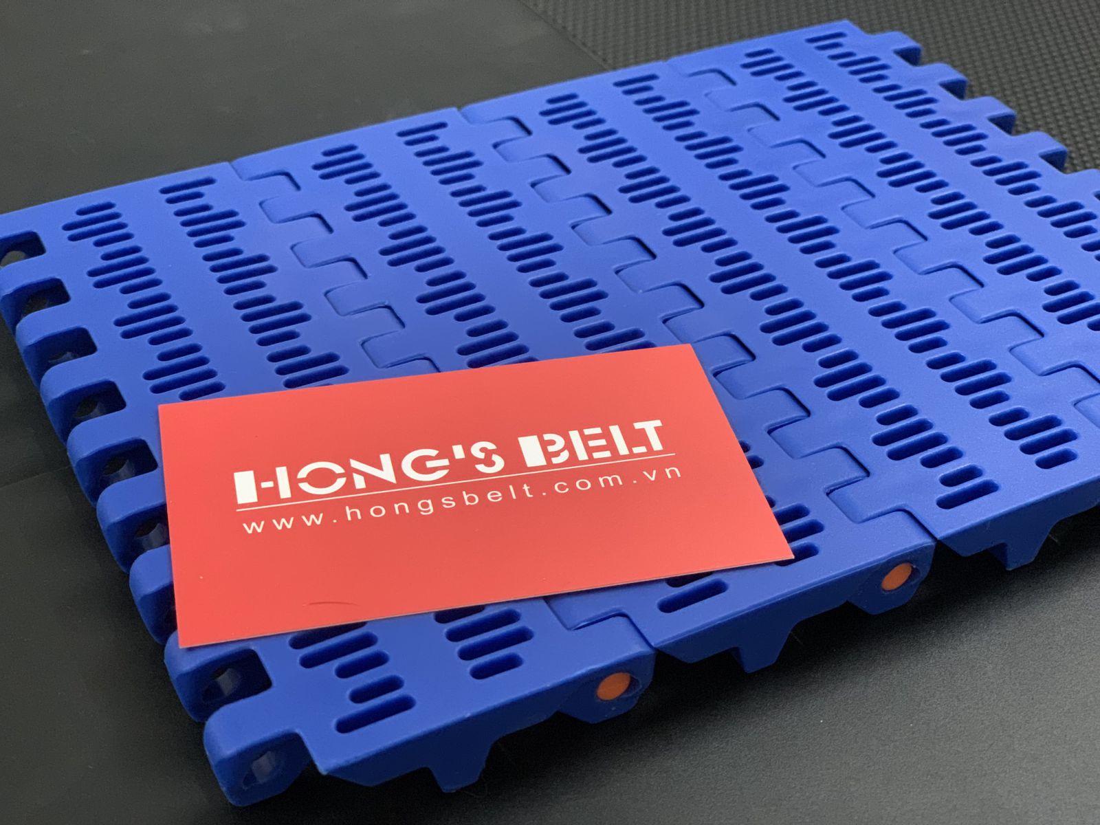 băng tải nhựa hongsbelt hs 100B-HD