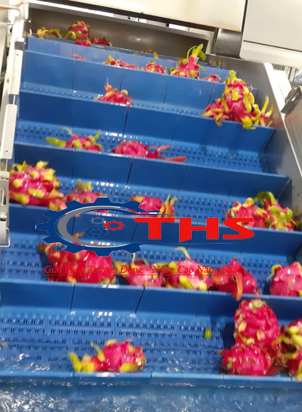 băng tải nhựa rửa trái cây